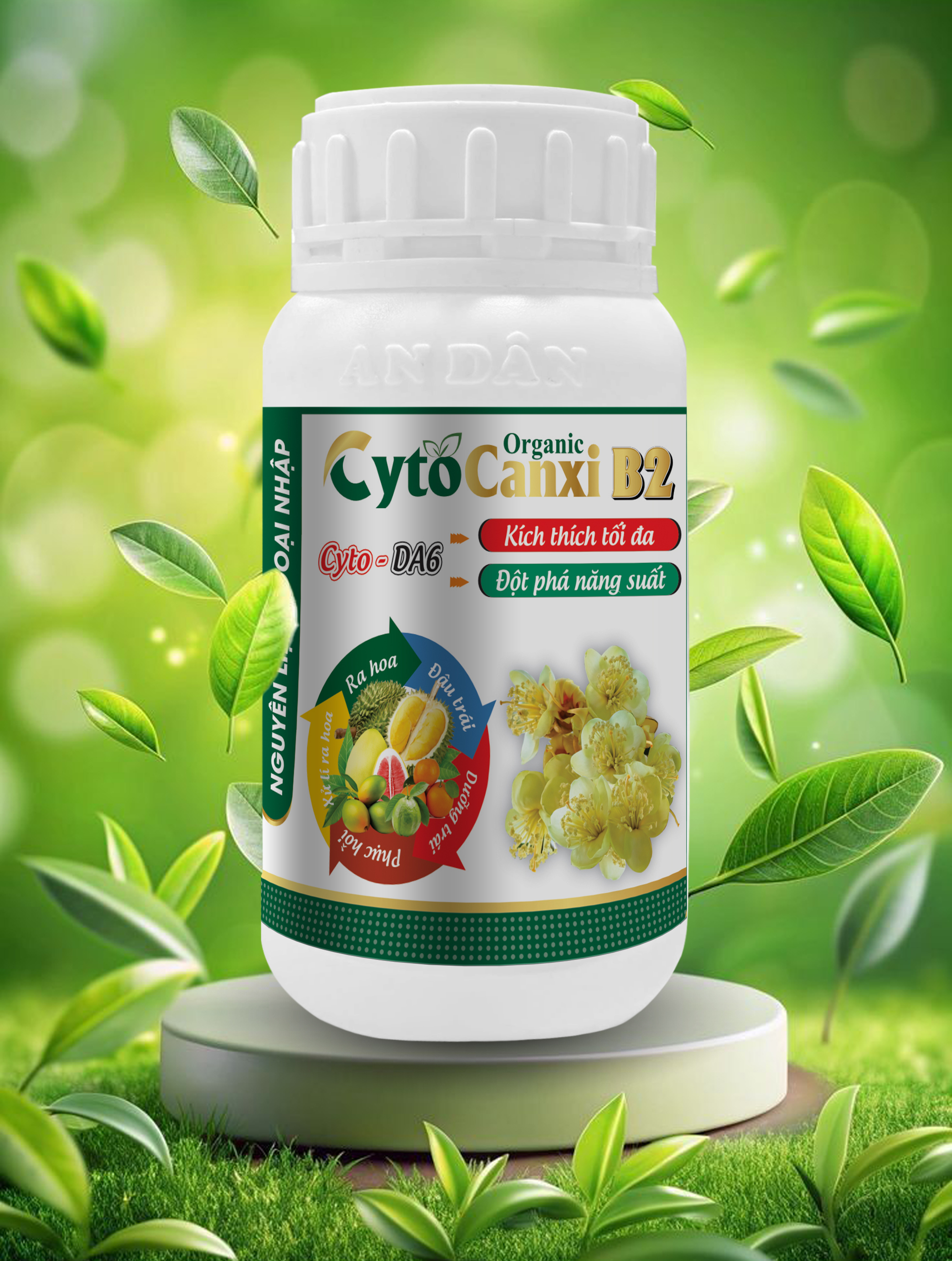 CYTO CANXI B2